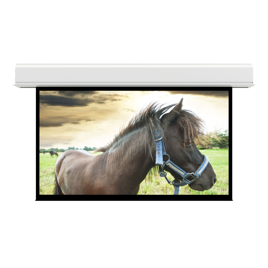 Da-Lite Advantage Series, 119" x 212" with Matte White - 36981EFL