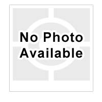Chief Wall Plate Accessory - KSA1001B