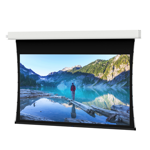 Da-Lite Tensioned Advantage Series, 87" x 139" with HD Progressive ReView 0.9 - 34567L