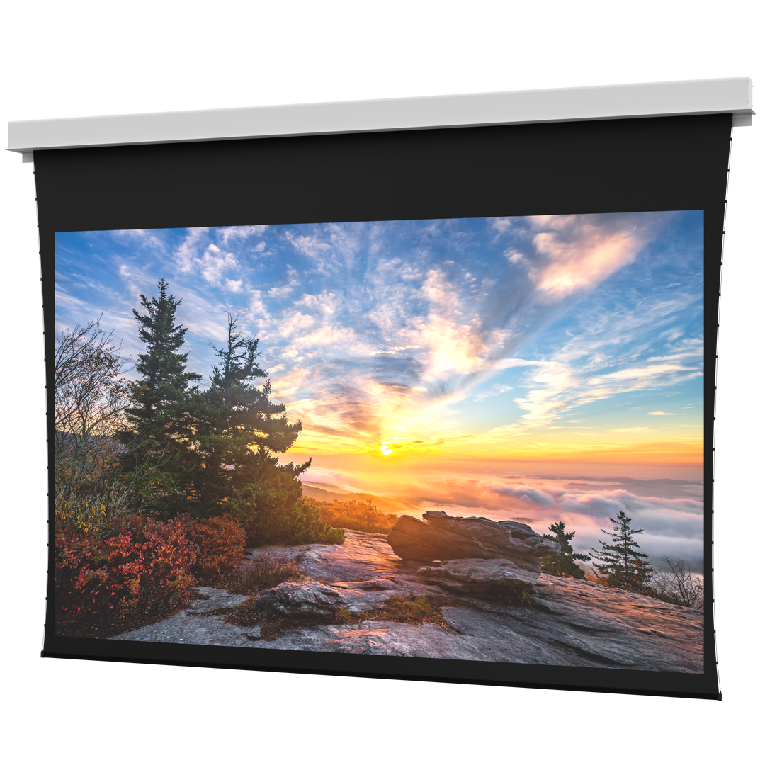 Da-Lite Myriad Conceal, 110" x 176" with Da-Mat - DL100248EL