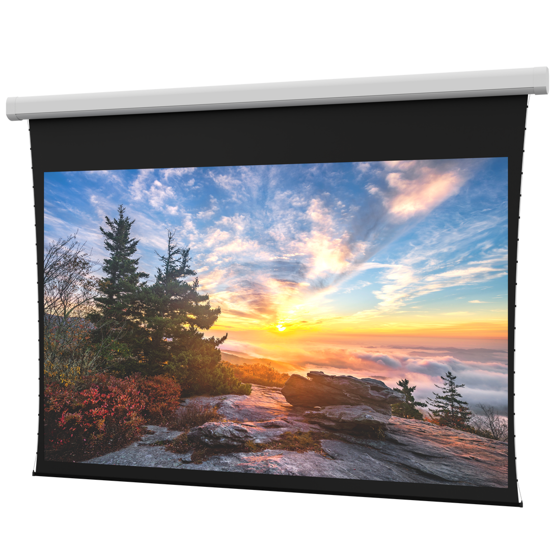 Da-Lite Myriad Reveal, 110" x 176" with Da-Mat - DL100138EL