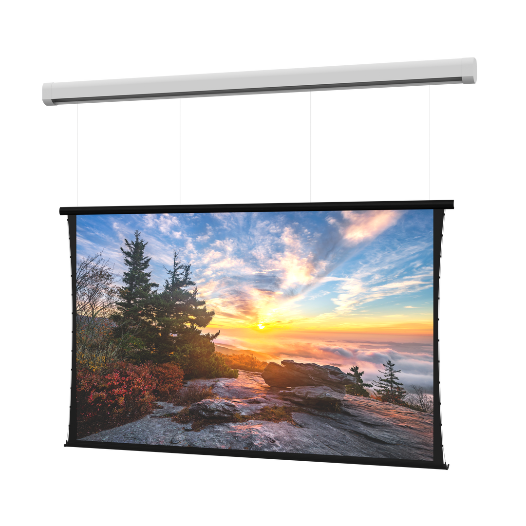 Da-Lite Myriad Reveal, 110" x 176" with Da-Mat - DL100186EL